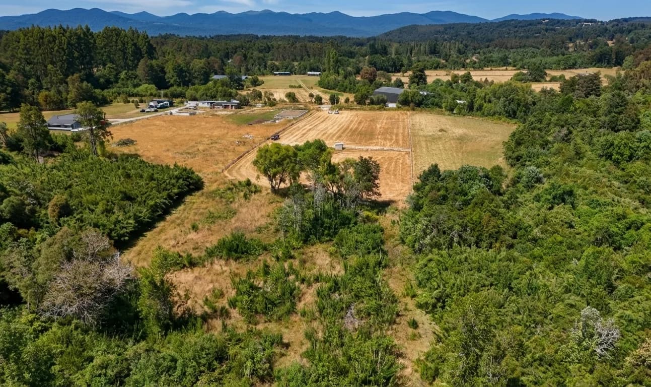 Parcela Bosque & Estero (5.000m²)