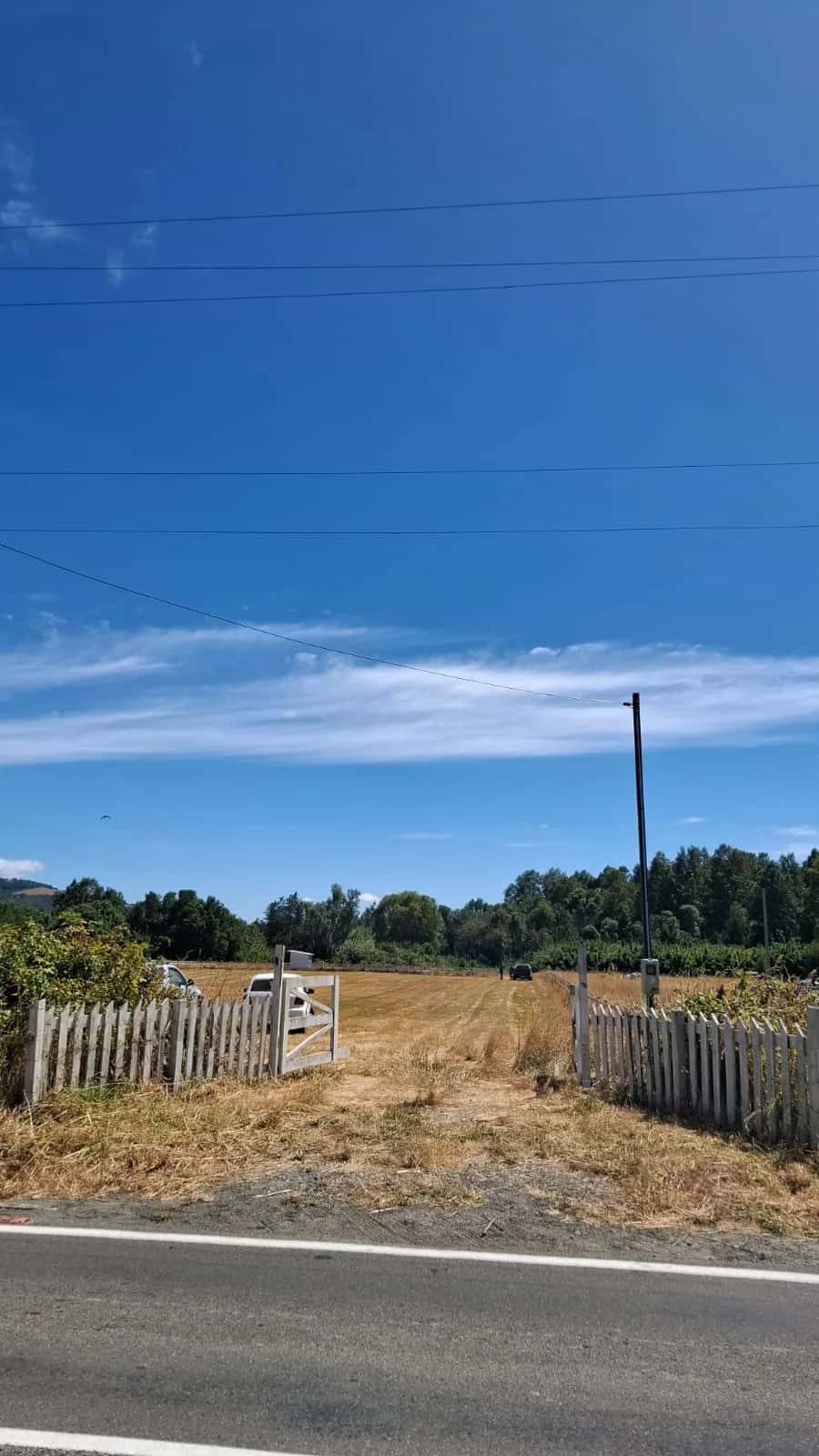 Parcela Panguipulli Ruta T-391 (6.500m²) - imagen 3