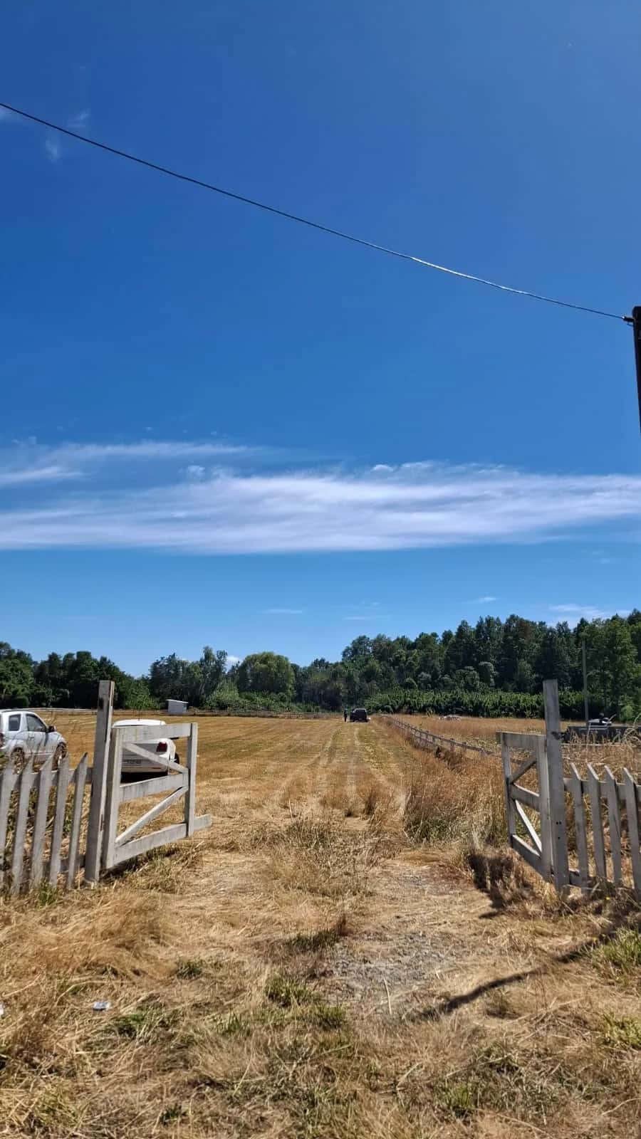 Parcela Panguipulli Ruta T-391 (6.500m²) - imagen 2