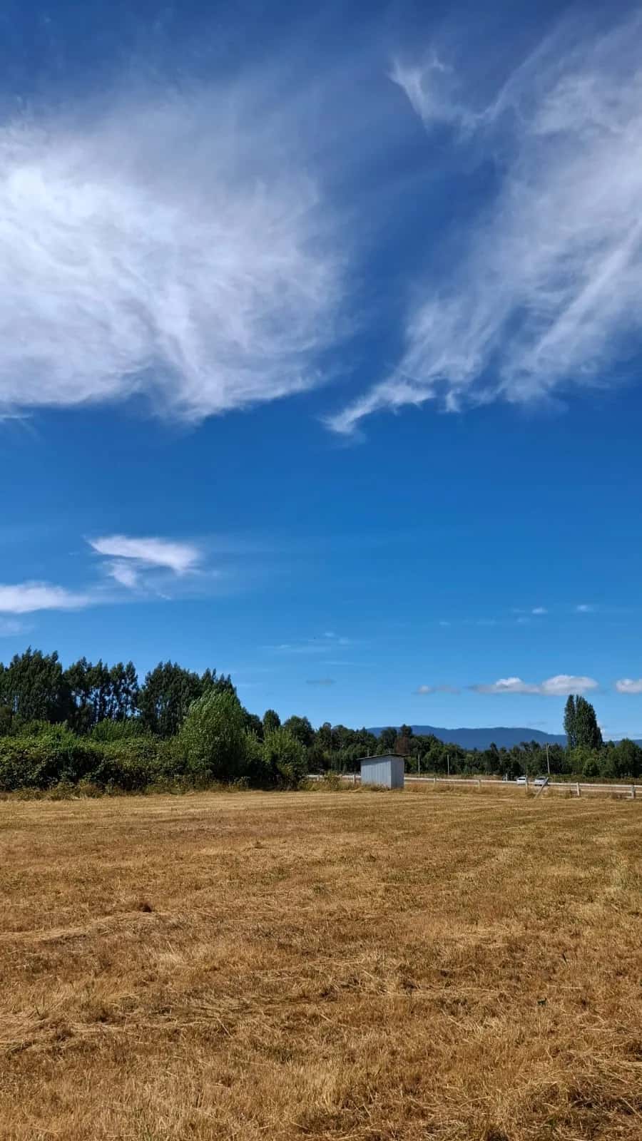 Parcela Panguipulli Ruta T-391 (6.500m²) - imagen 6