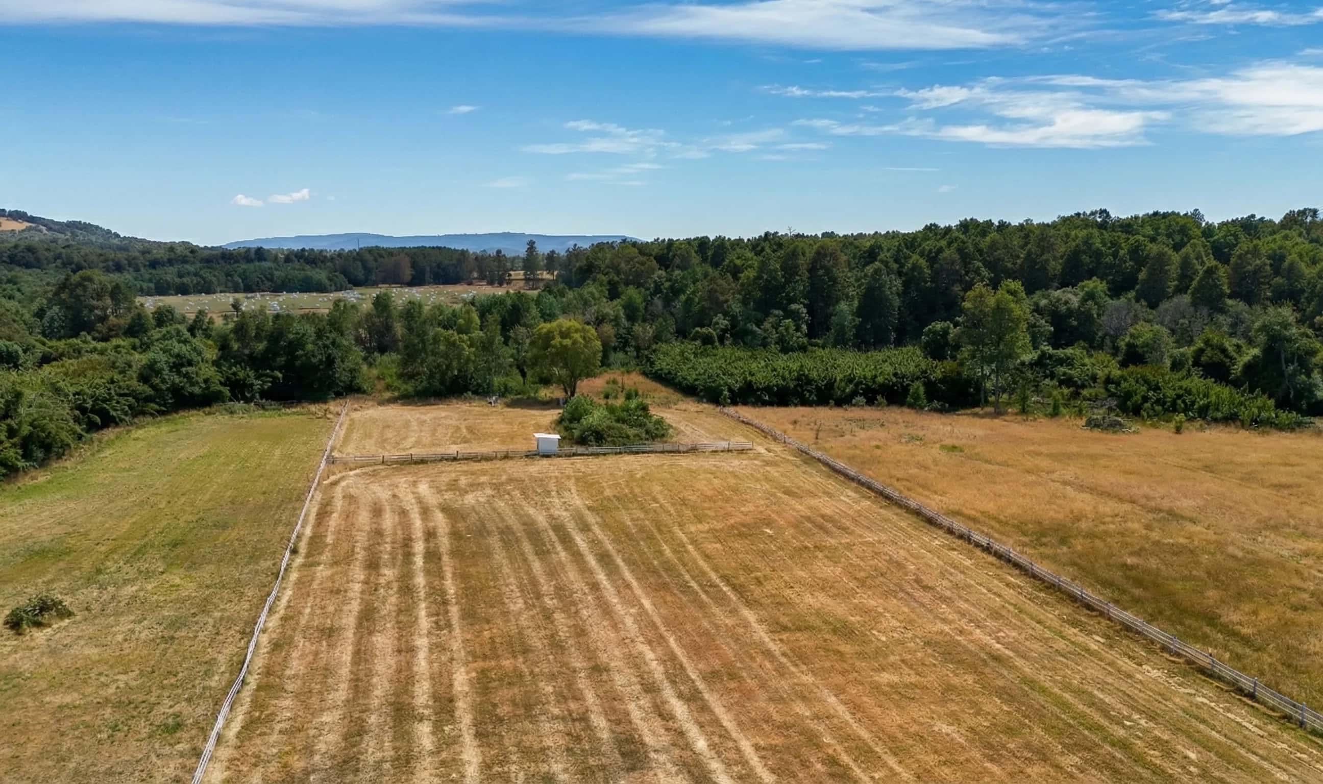 Parcela Panguipulli Ruta T-391 (6.500m²) - imagen 10