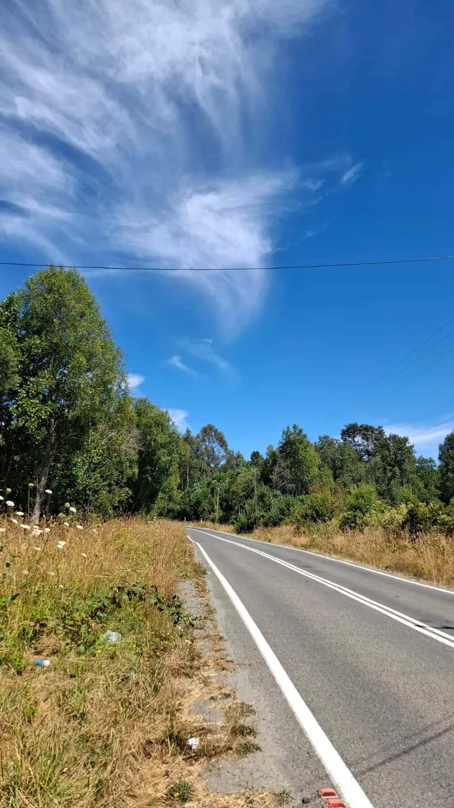 Parcela Panguipulli Ruta T-391 (6.500m²) - imagen 4