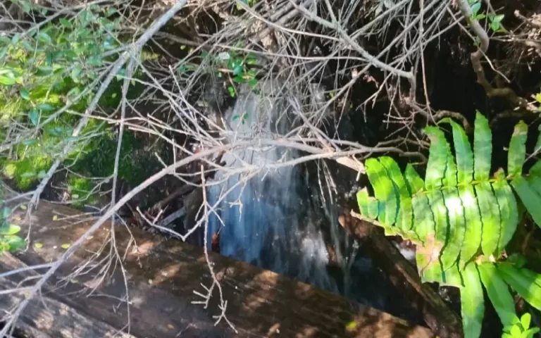 Arroyo con agua cristalina en terreno Refugio Soñado de 112 hectáreas en la IX Región