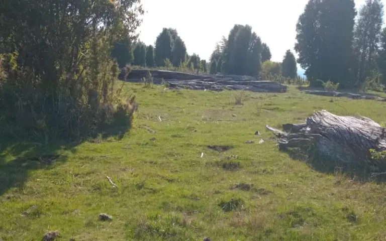 Terreno en venta en Refugio Soñado con praderas naturales en la IX Región