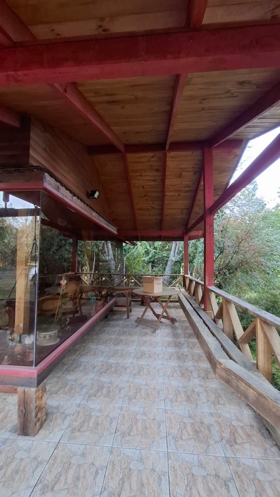 Imagen de WhatsApp 2025-06-12 a las 19.06.27_d7ec3d23