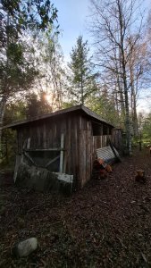 Imagen de WhatsApp 2025-06-12 a las 19.06.43_336fa2e6