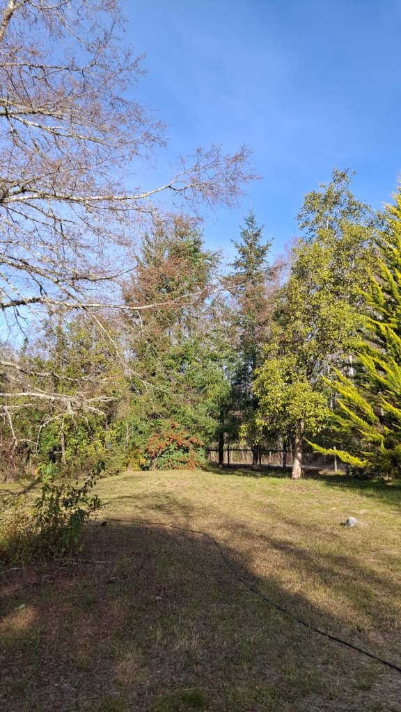 Imagen de WhatsApp 2025-06-12 a las 19.06.52_53cad2d3