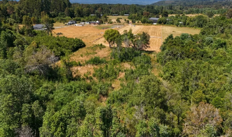 parcela 2 panguipulli vista magna-1