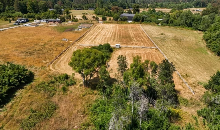 parcela 2 panguipulli vista magna-2